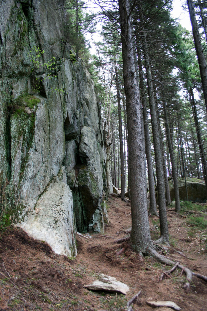 Rock face with a line of trees close beside
 Sentier des Escarpments 
 Mont Megantic 